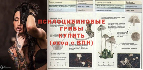 соль ск Алексин