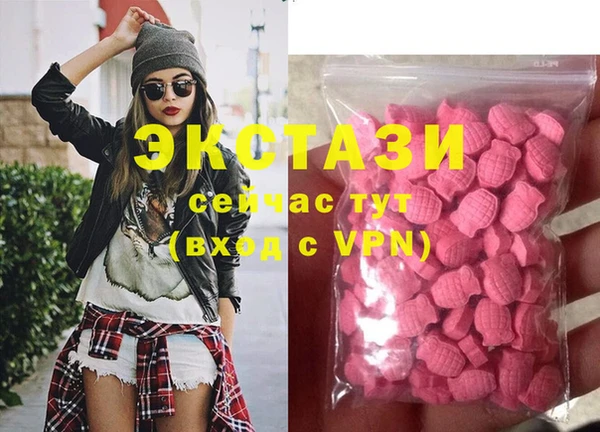 прущие грибы Михайлов