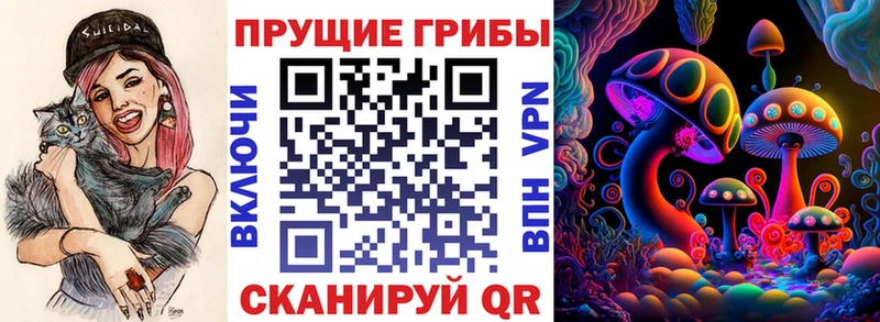 где найти   Среднеколымск  Псилоцибиновые грибы мицелий 